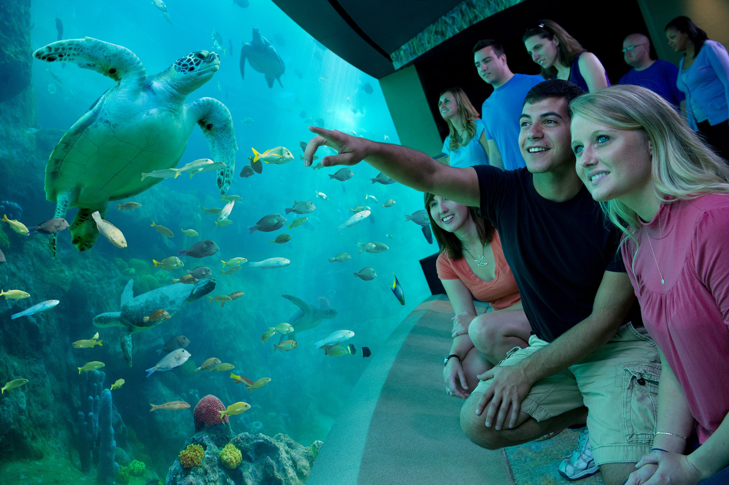 SeaWorld