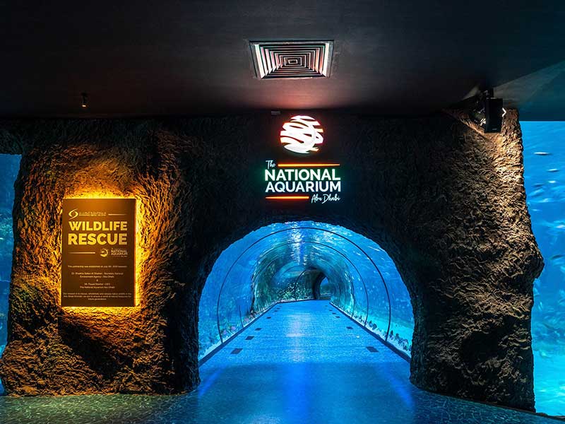 The National Aquarium