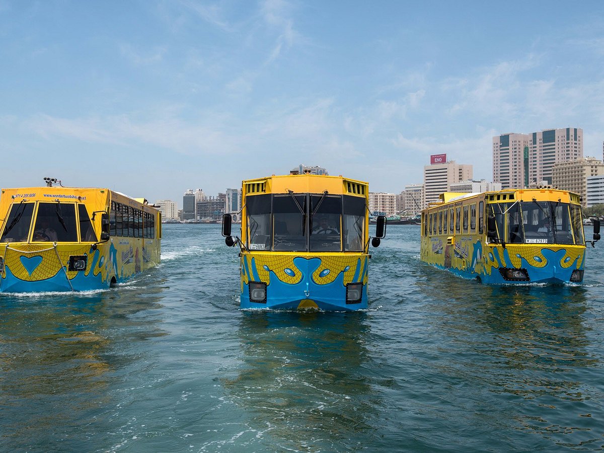 Wonder Bus Tours (Regular Seat)