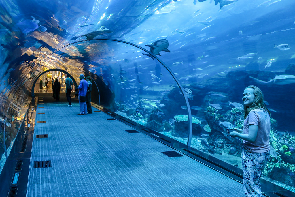 DUBAI AQUARIUM UNDERWATER ZOO