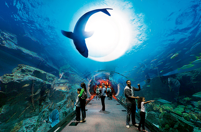 Dubai Aquarium & Underwater Zoo-Dubai