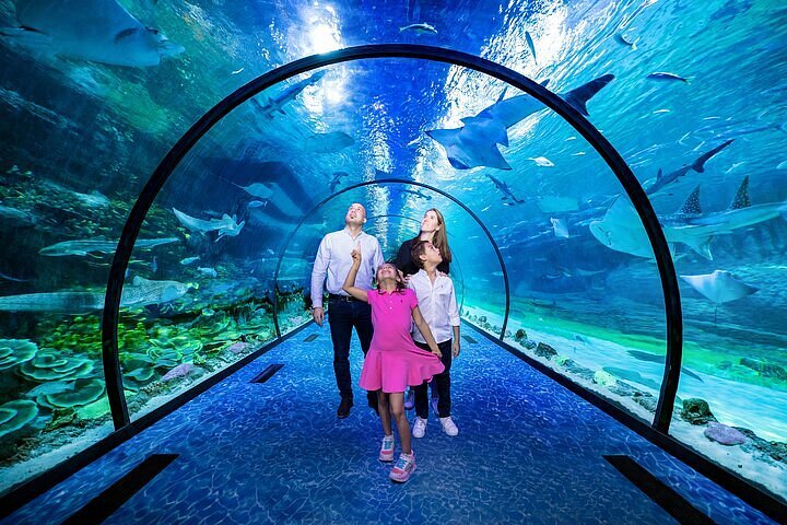 National Aquarium Abu dhabi