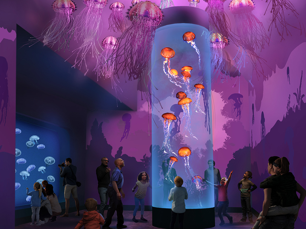 SeaWorld