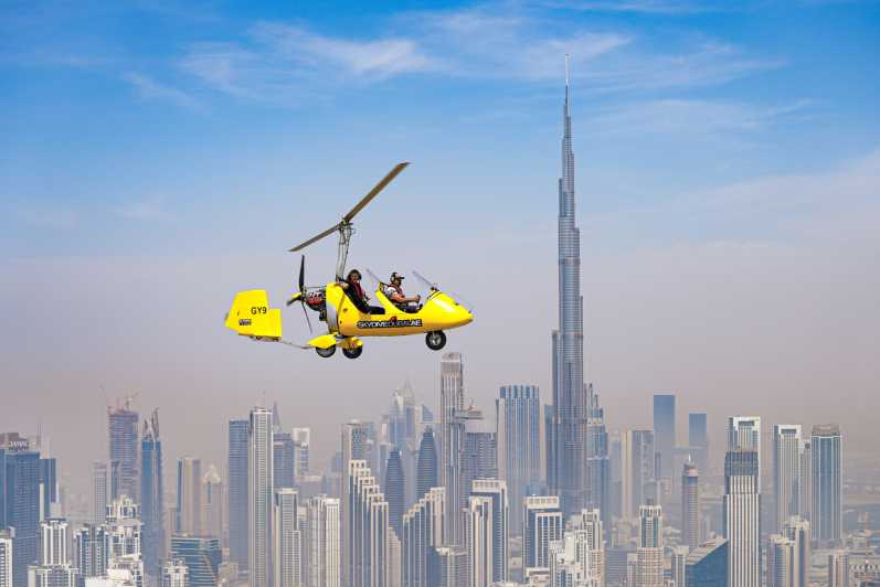SkyDive ! Dubai
