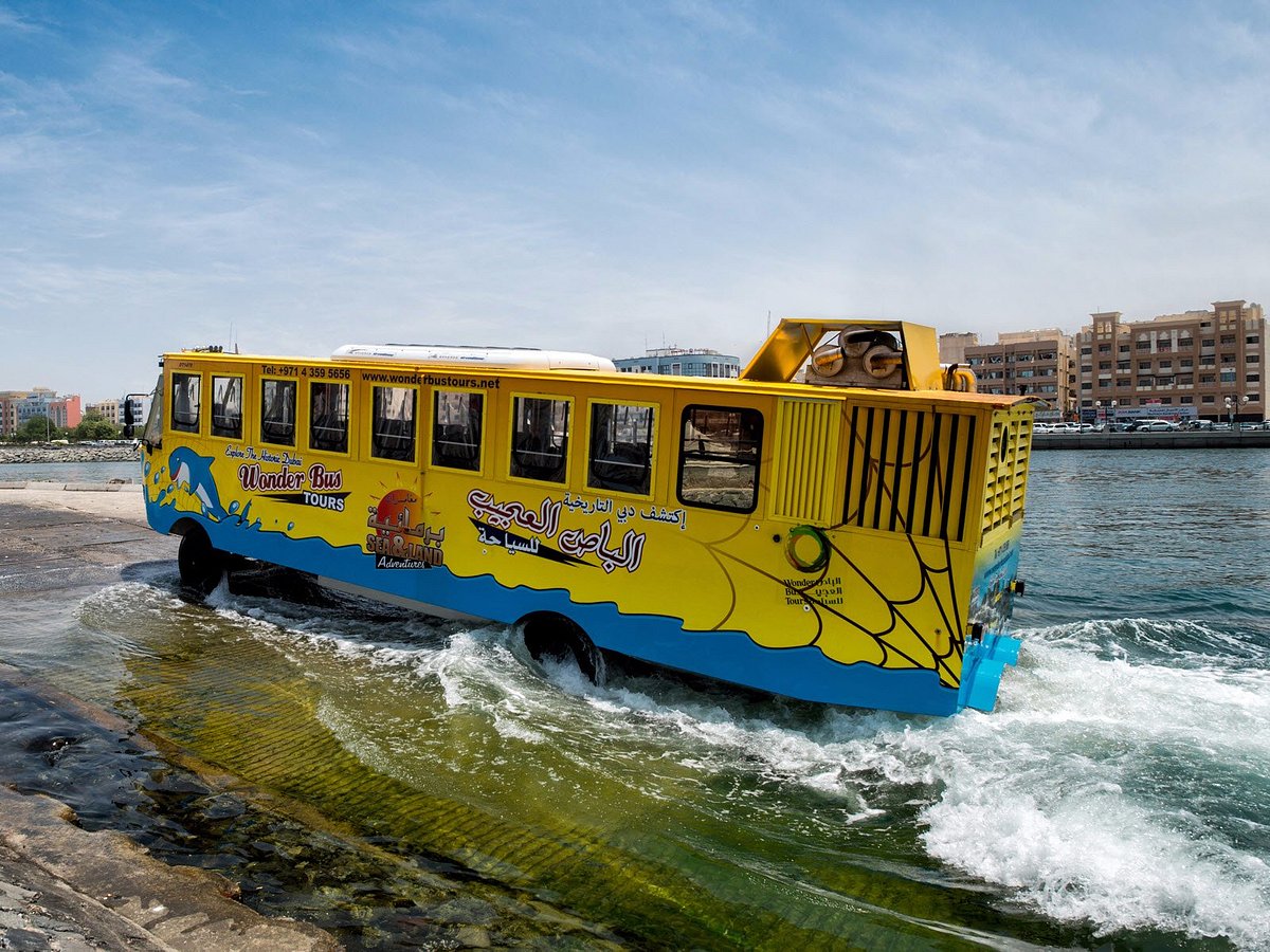 Wonder Bus Tours